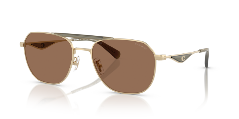 Coach HC7178 - CAE80 Sunglasses | Select Eyewear