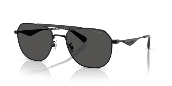 Coach HC7178 - CAE80 Sunglasses | Select Eyewear