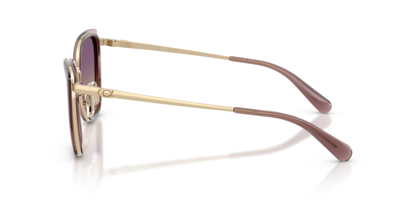 HC7187 - CDP56
