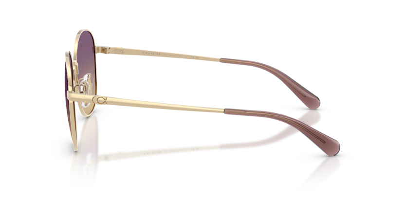 HC7189 - CDP39