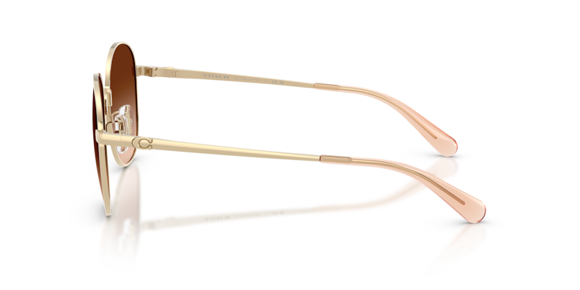 HC7189 - CDP39