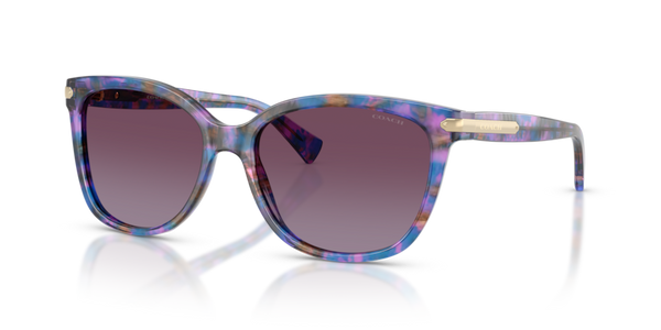 COACH シルバーレンズメガネ(シルバー×パープル) Coach HC8132 - L109 Sunglasses | Select Eyewear