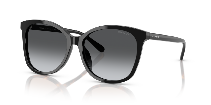 Coach HC8271U - L1101 Sunglasses | Select Eyewear display picture 1