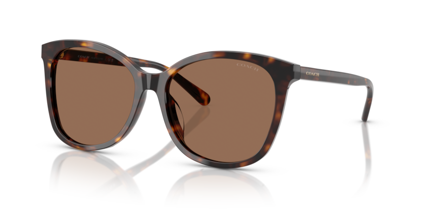Coach HC8271U L1101 Transparent Grey Cat Eye Sunglasses‎ 51766V 140 2N Coach HC8271U L1101 Sunglasses | Free Shipping | EZContacts.com main image 2