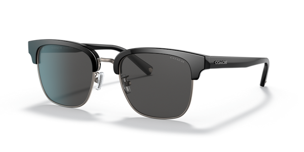 COACH おしゃれクール Coach HC8326 - C6194 Sunglasses | Select Eyewear