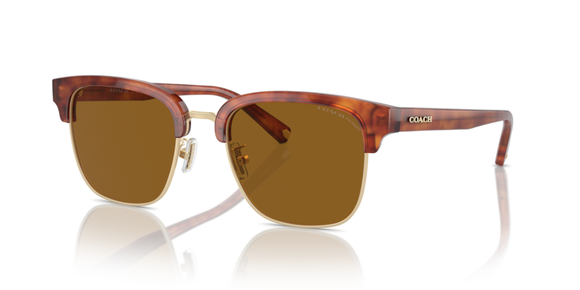 Coach HC8326 - C6194 Sunglasses | Select Eyewear