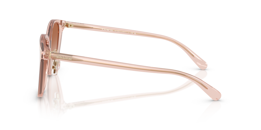 新品正規品 コーチ HC8361F 57387W サングラス コーチ サングラス HC8361F col.57387W 57mm COACH アジアン