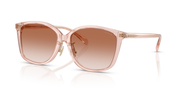 Coach HC8361F - CH617 Sunglasses | Select Eyewear