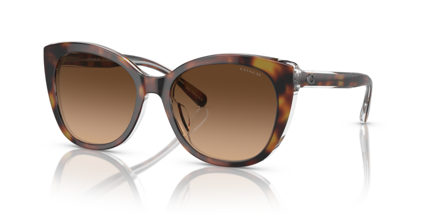 Coach HC8365U - CH566 Sunglasses | Select Eyewear