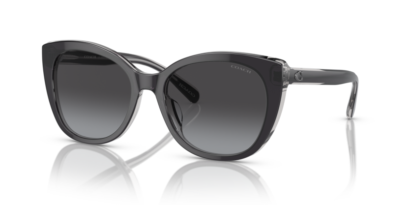 Coach HC8365U - CH566 Sunglasses | Select Eyewear