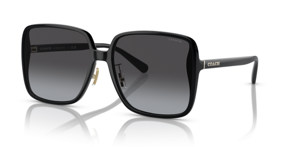 Coach HC8368D - CH572 Sunglasses | Select Eyewear