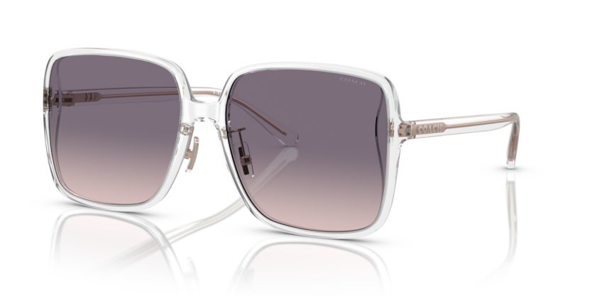 Coach HC8368D - CH572 Sunglasses | Select Eyewear
