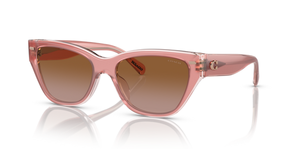Coach HC8370U - CH570 Sunglasses | Select Eyewear
