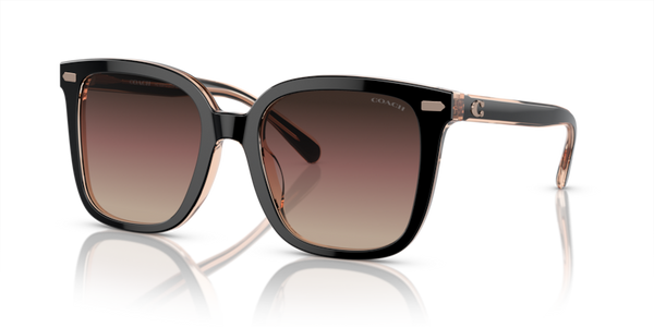 Coach HC8381U - CL918 Sunglasses | Select Eyewear