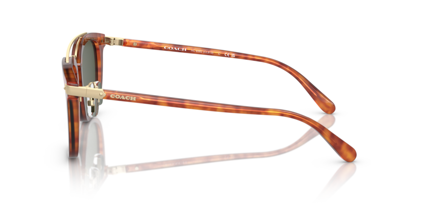 Coach HC8382 - CL913 Sunglasses | Select Eyewear