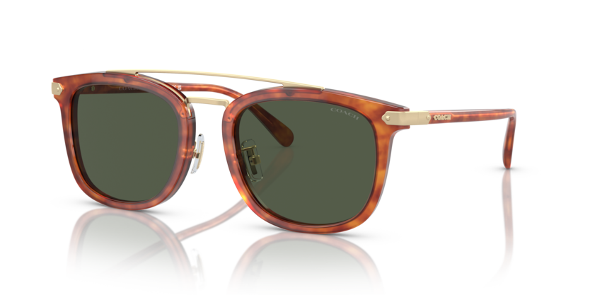 Coach HC8382 - CL913 Sunglasses | Select Eyewear