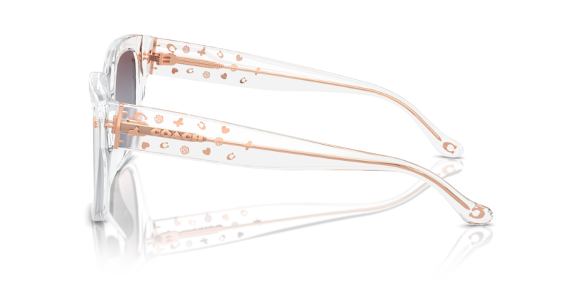 Coach HC8392U - CR611 Sunglasses | Select Eyewear