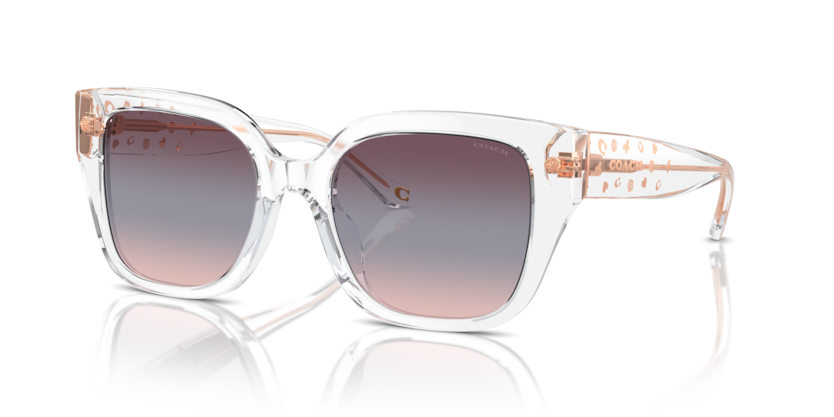 Coach HC8392U - CR611 Sunglasses | Select Eyewear