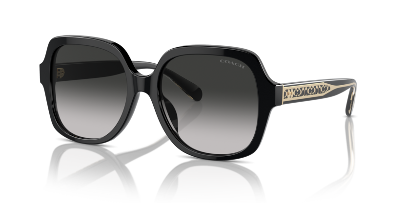 Coach HC8395U - CR614 Sunglasses | Select Eyewear