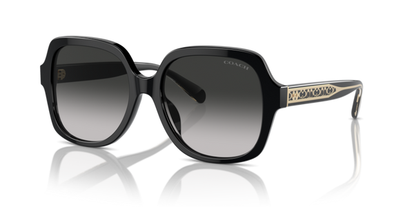 Coach HC8395U - CR614 Sunglasses | Select Eyewear
