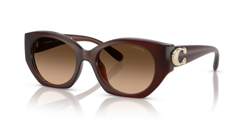 Coach HC8407U - CW194 Sunglasses | Select Eyewear