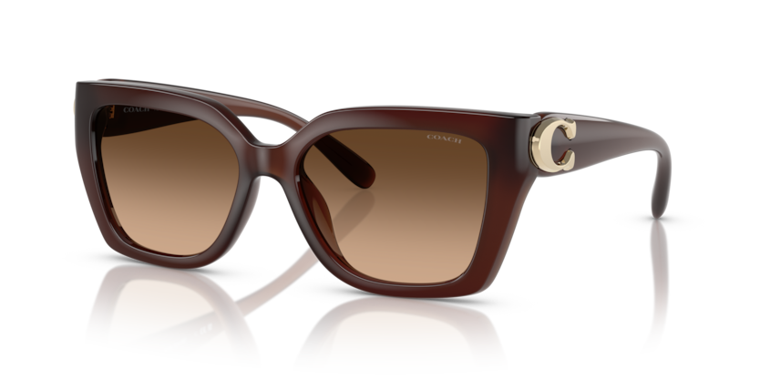 Coach HC8408F - CW202 Sunglasses | Select Eyewear