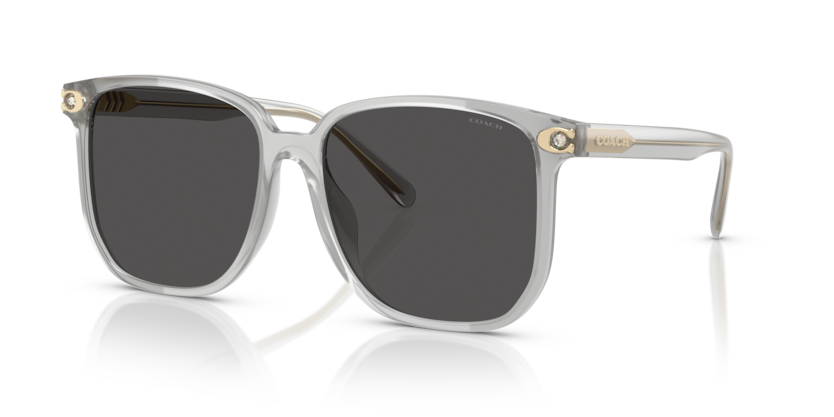 Coach HC8413BD - CW419 Sunglasses | Select Eyewear