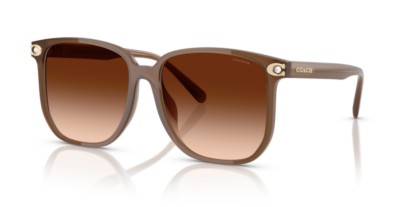 Coach HC8413BD - CW419 Sunglasses | Select Eyewear
