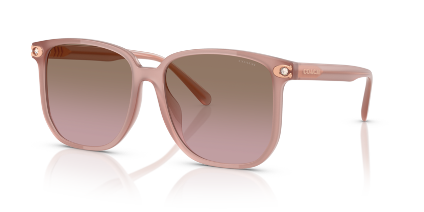 Coach HC8413BD - CW419 Sunglasses | Select Eyewear