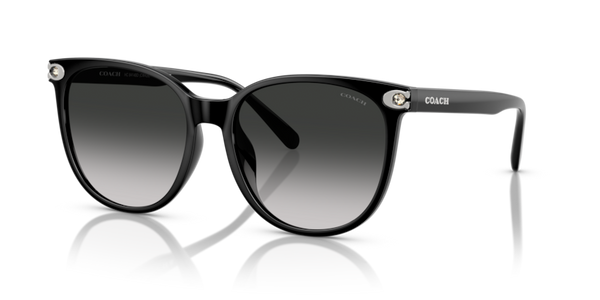 Coach HC8414BD - CW428 Sunglasses | Select Eyewear