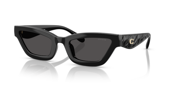 Coach HC8420U - CAD28 Sunglasses | Select Eyewear Coach HC8420U - CAD28 Sunglasses | Select Eyewear