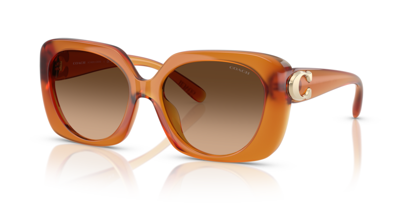 Coach HC8422U - CAD33 Sunglasses | Select Eyewear