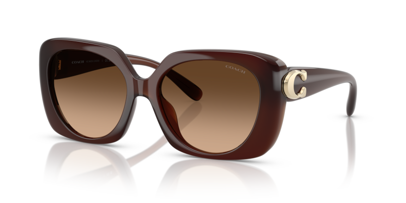 Coach HC8422U - CAD33 Sunglasses | Select Eyewear