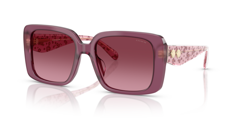 HC8424U - CAD54