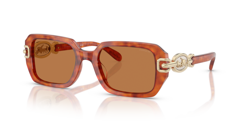 Coach HC8425U - CAD74 Sunglasses | Select Eyewear