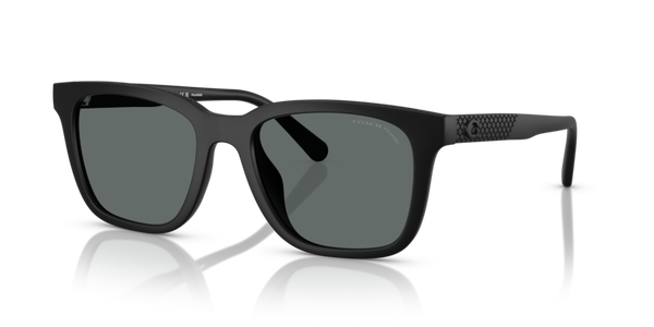 Coach HC8426U - CAD81 Sunglasses | Select Eyewear