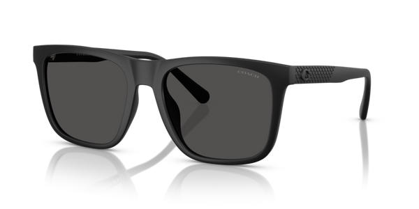 Coach HC8427U - CAE78 Sunglasses | Select Eyewear