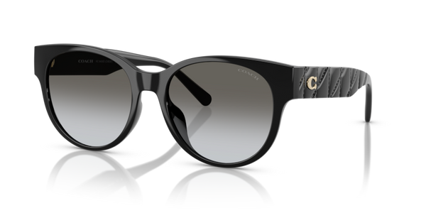 Coach HC8430D - CAE87 Sunglasses | Select Eyewear
