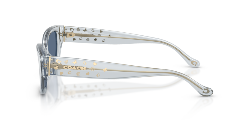 HC8439U - CBZ52