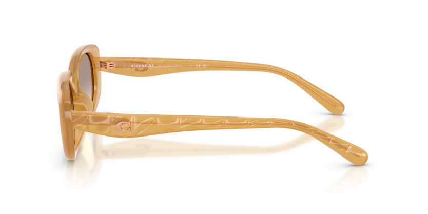 HC8443D - CBY84