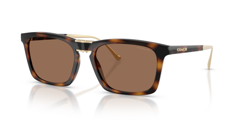 HC8455 - CDP54