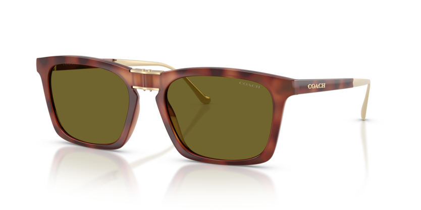 HC8455 - CDP54