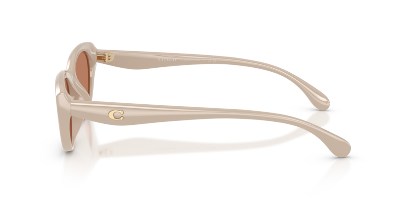 HC8456D - CDP42