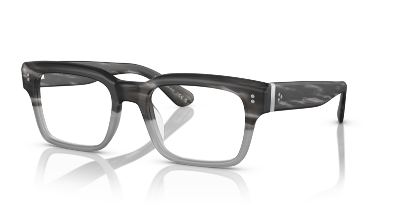 OV5470U - HOLLINS