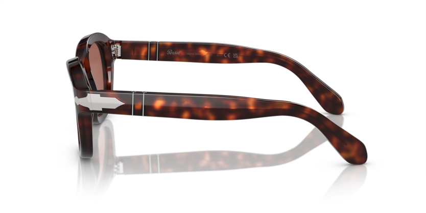 PO0060S