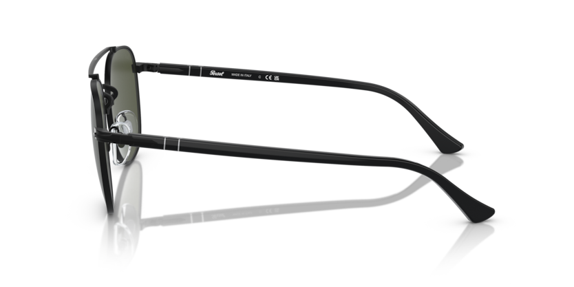 PO1006S