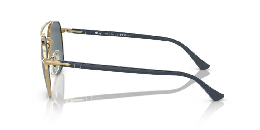 PO1006S