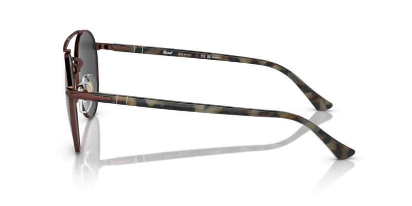 PO1011S