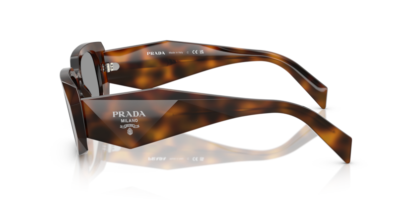 PR 17WS