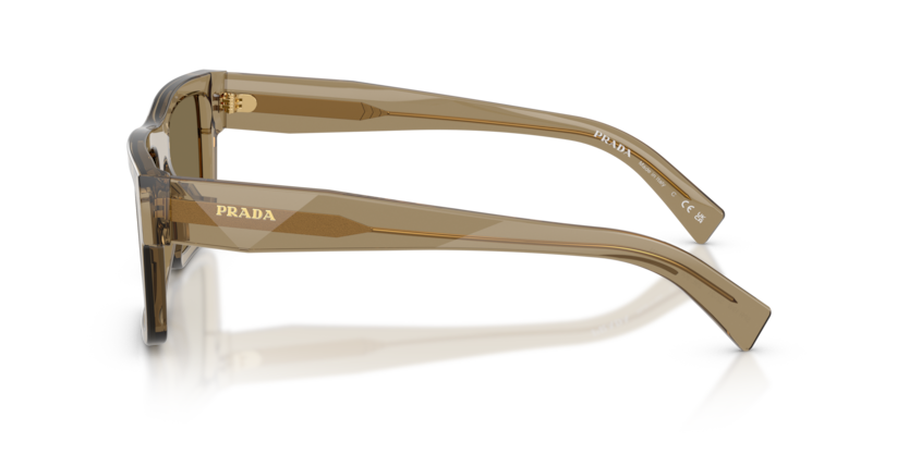 PR 19WS